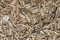 biomass boilers Millersneuk